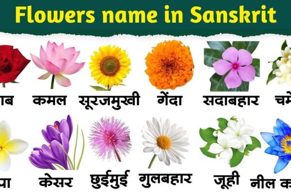 Flowers Name in Sanskrit