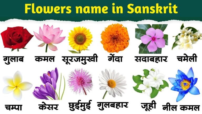 Flowers Name in Sanskrit