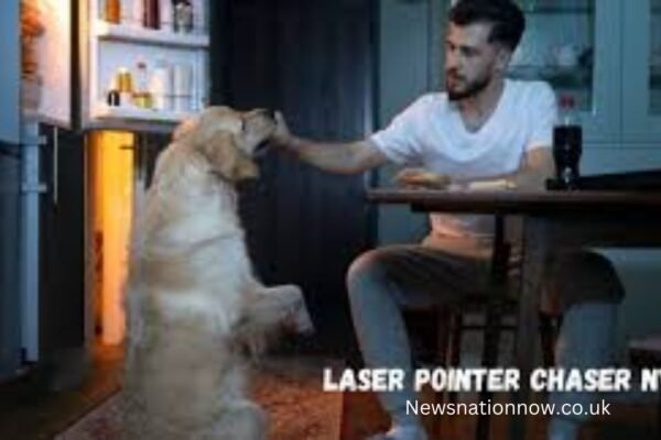 laser pointer chaser nyt