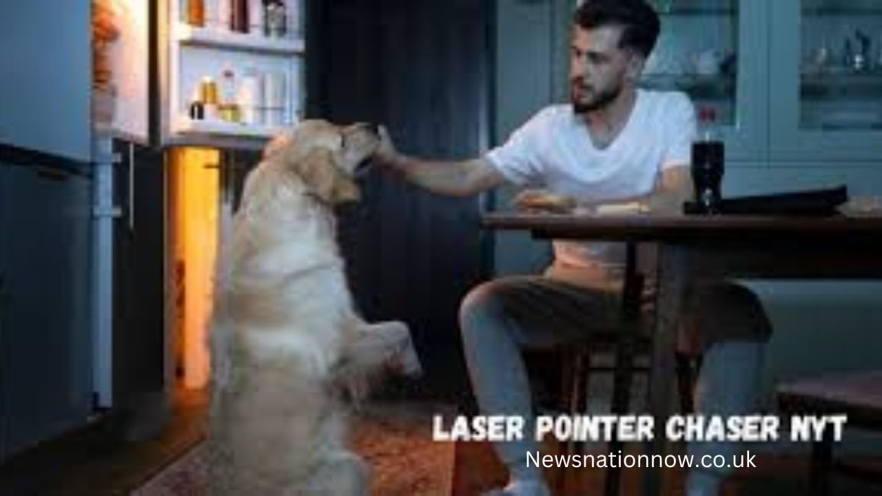 laser pointer chaser nyt